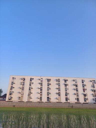 عکس شهرک نارون