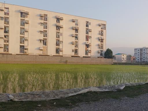 عکس شهرک نارون