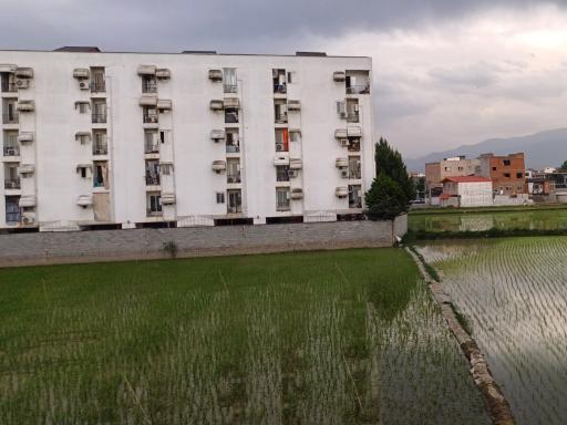 عکس شهرک نارون