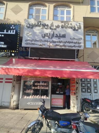 عکس مرغ و بوقلمون سیداریس