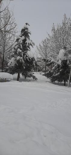 بوستان اندیشه