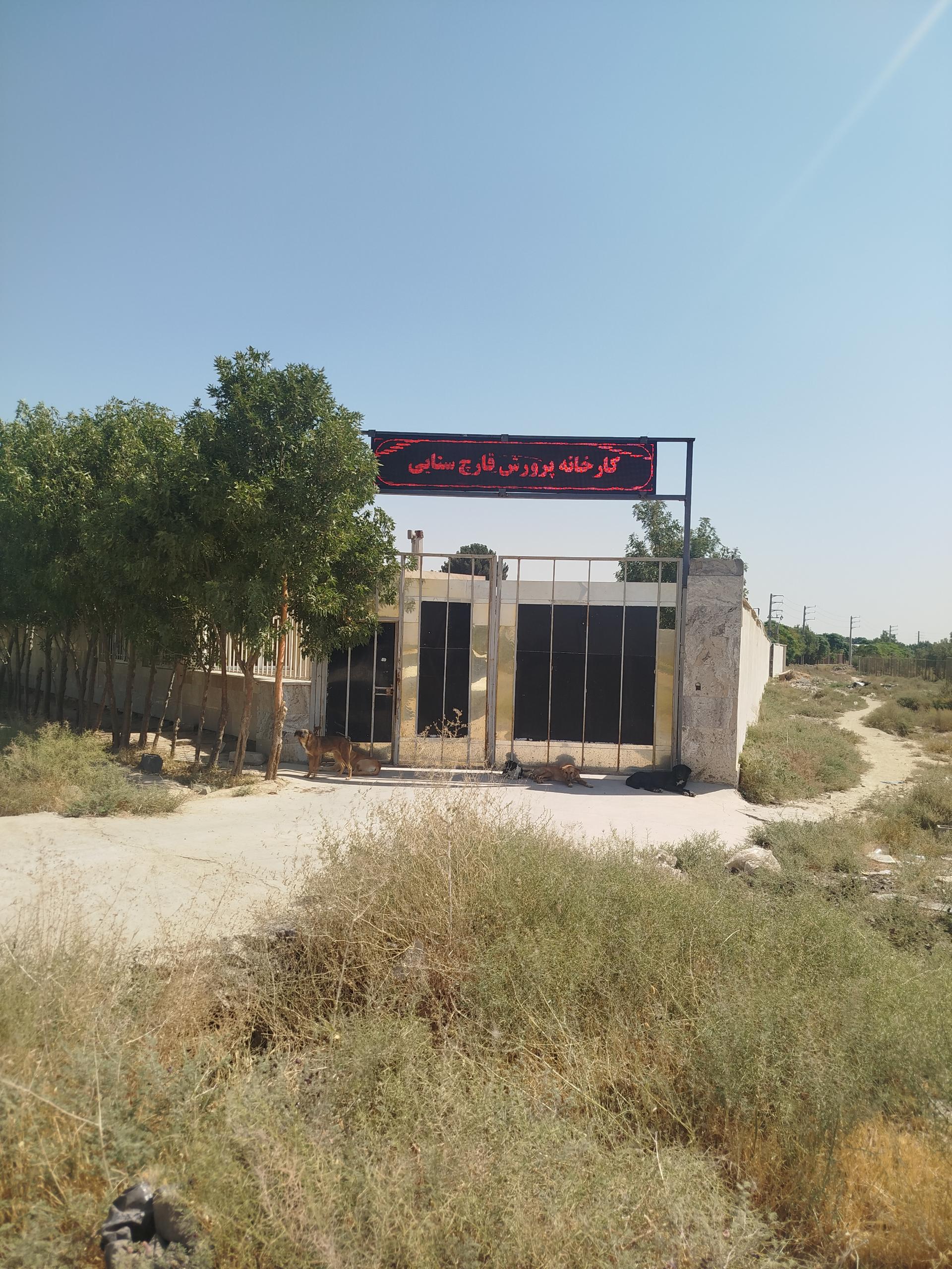 عکس کارخانه قارچ سنایی
