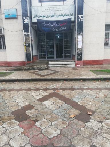 عکس اداره منابع طبیعی و آبخیزداری شهرستان تالش