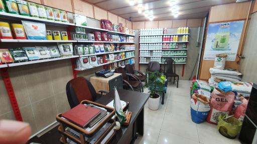 عکس شرکت آرکا کشت راسپینا