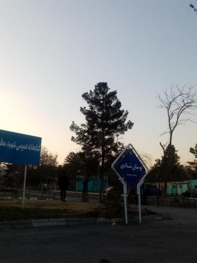 عکس بوستان شادی