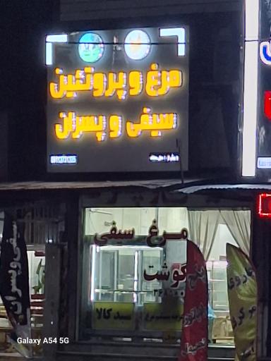 عکس مرغ سیفی