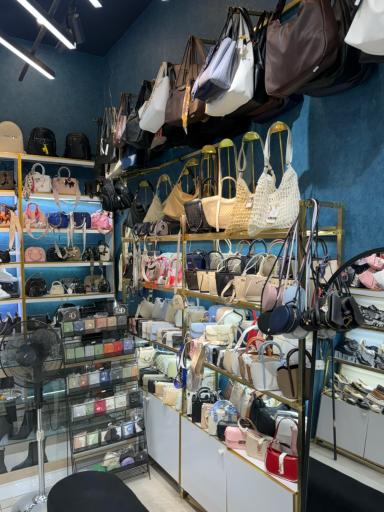 عکس کیف و کفش خانومی پرند