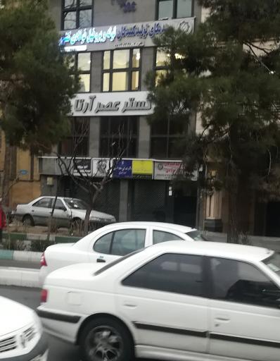 عکس رایان گستر عصر آرتا