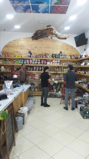 عکس قهوه توداک