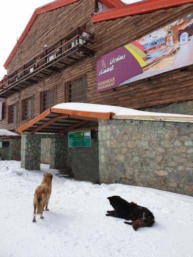 عکس هتل توچال