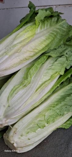 عکس سبزی فروشی برادران کشاورز