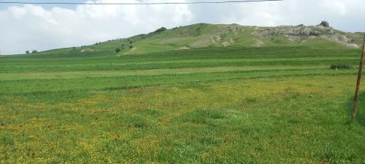 عکس آبش احمد