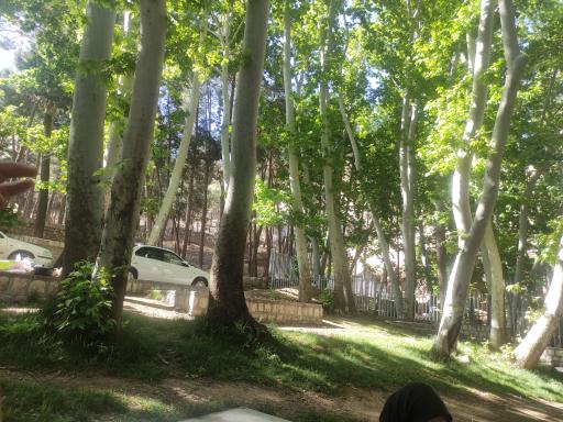 عکس پارک سراب هرسین