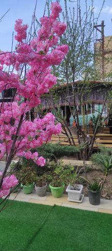 عکس رستوران باغ ال آی