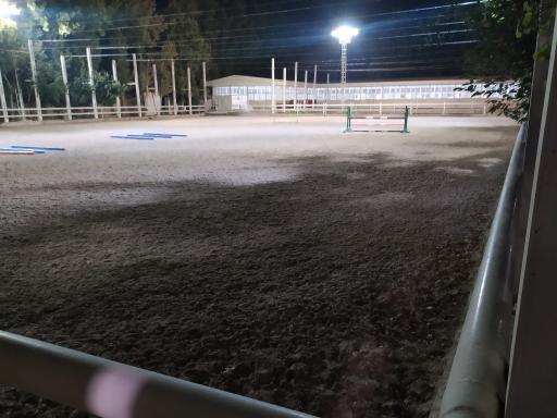 عکس مانژ سوارکاری ناژوان