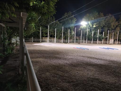 عکس مانژ سوارکاری ناژوان