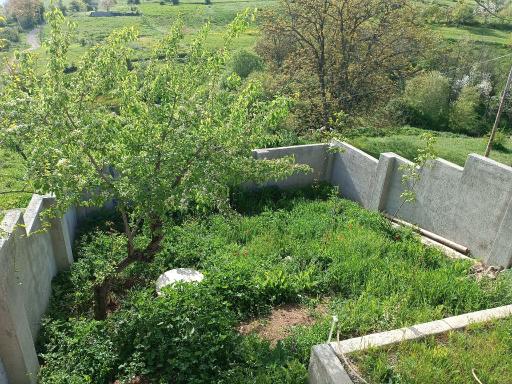 عکس آبش احمد