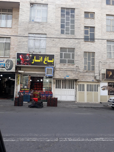 عکس باغ انار