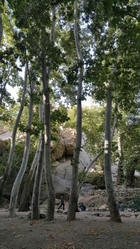 عکس پارک سراب هرسین