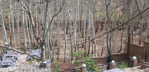 عکس مجموعه رستورانی آبشار