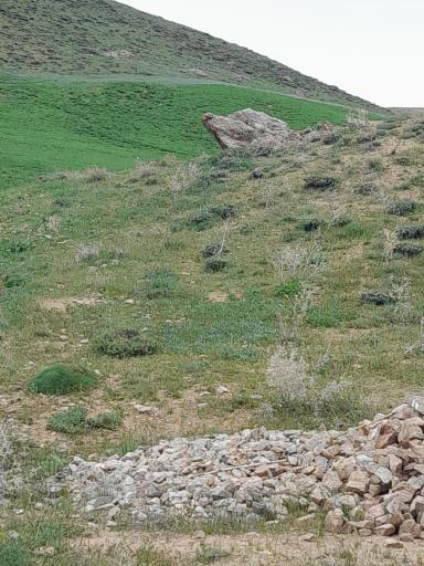 عکس آبش احمد