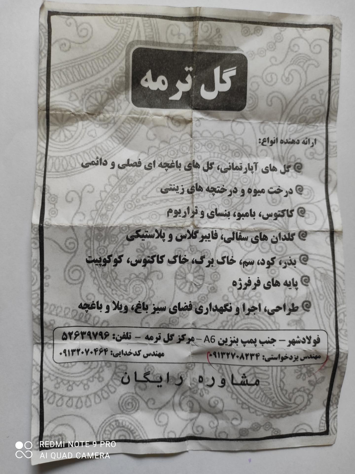 عکس مرکز گل ترمه