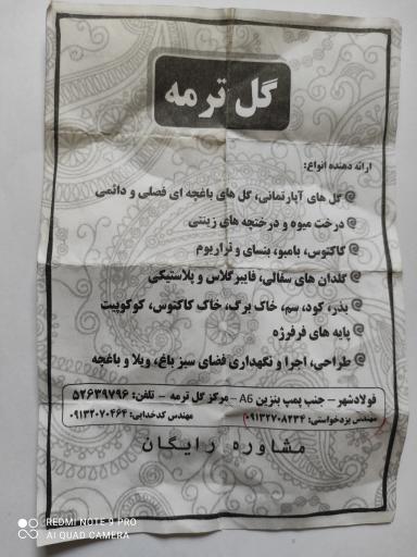 عکس مرکز گل ترمه