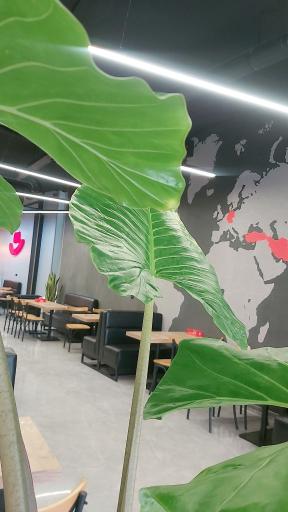 عکس فست فود زنجیره ای عطاویچ شعبه دماوند