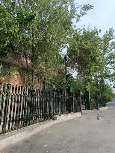 عکس دانشکده فیزیک دانشگاه تهران