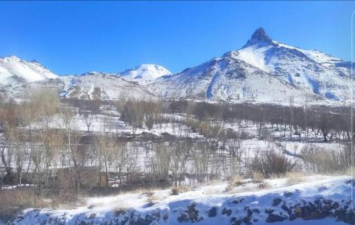 عکس وهنان