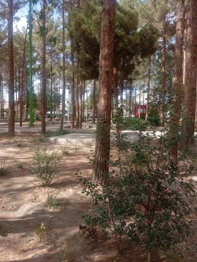 عکس بوستان لاله