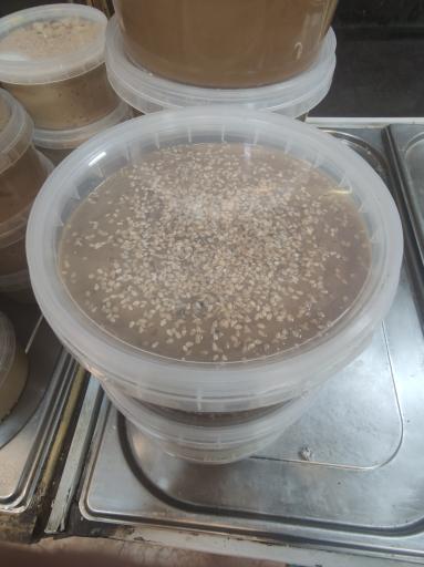 عکس کنجد طلایی