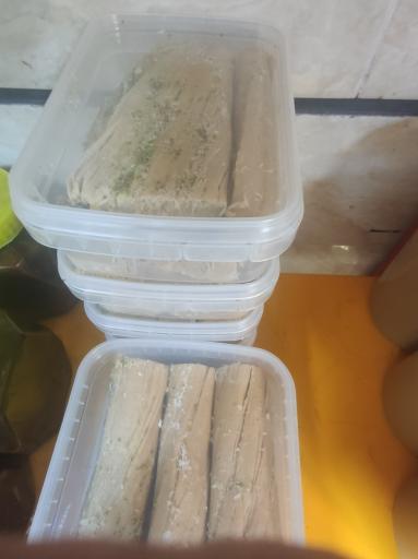 عکس کنجد طلایی