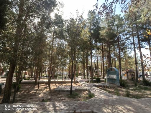 عکس بوستان لاله