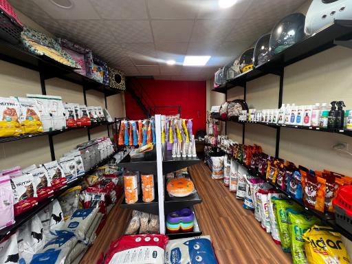 عکس پت شاپ کندی