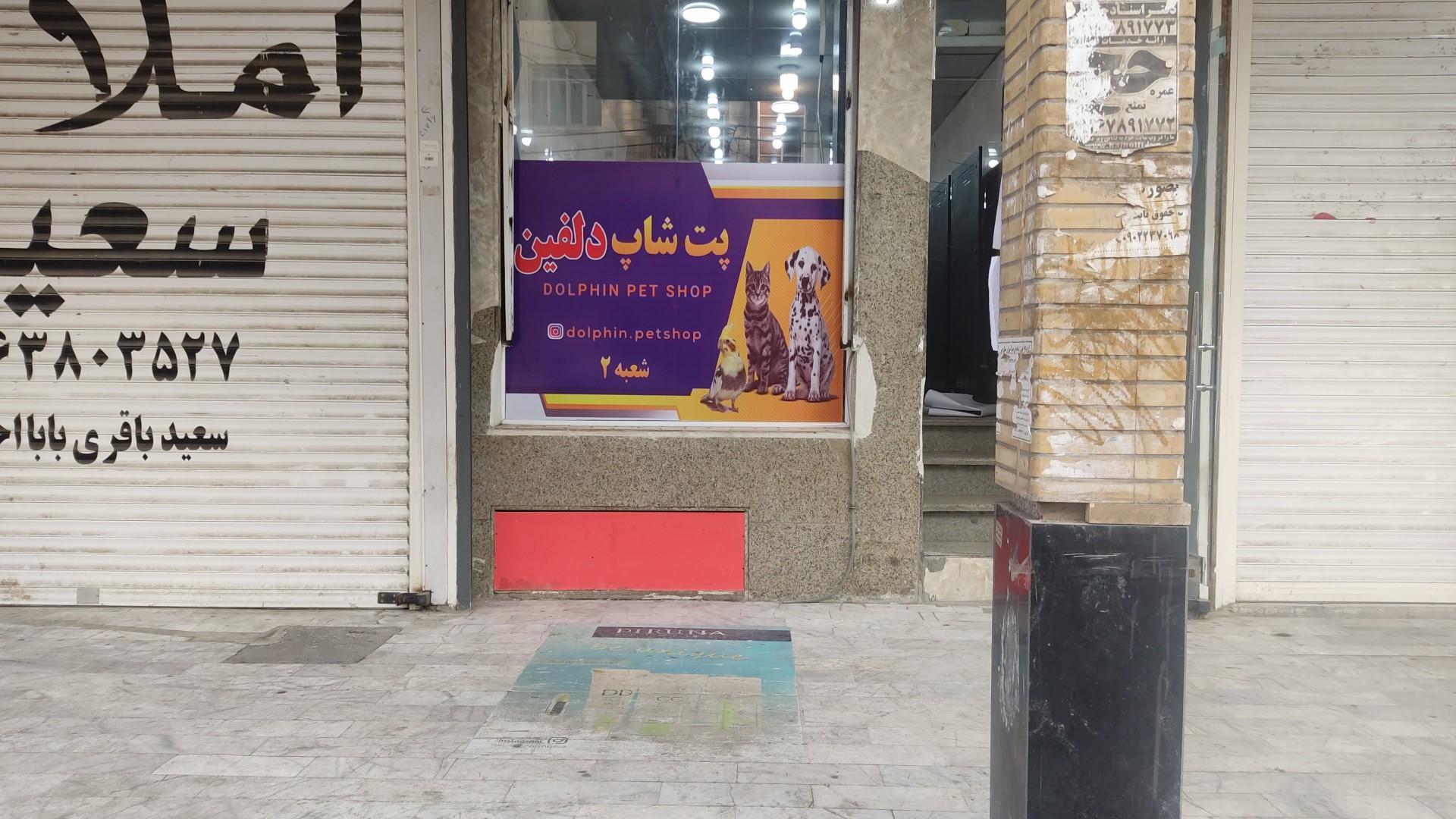 عکس پت شاپ دلفین شعبه ۲