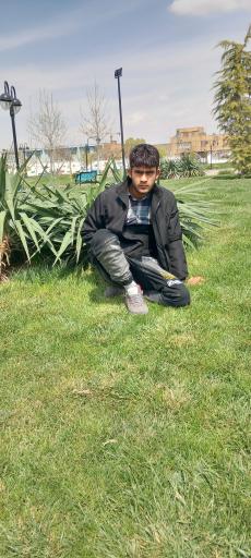 عکس بوستان 
