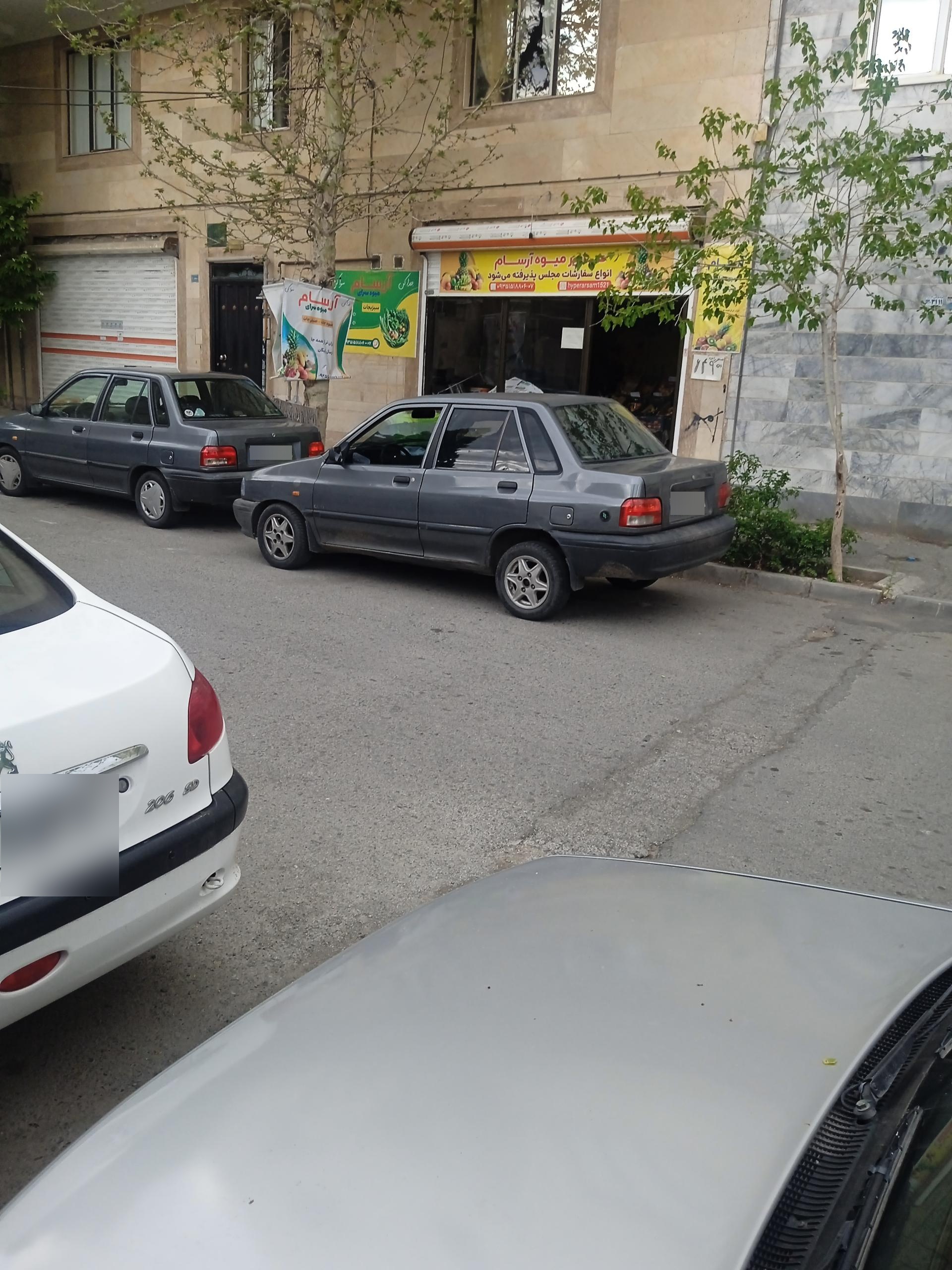 عکس میوه سرای آرسام