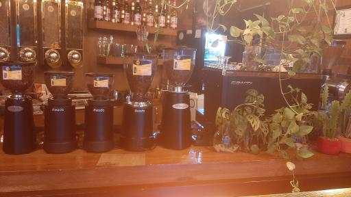 عکس حمید کافه