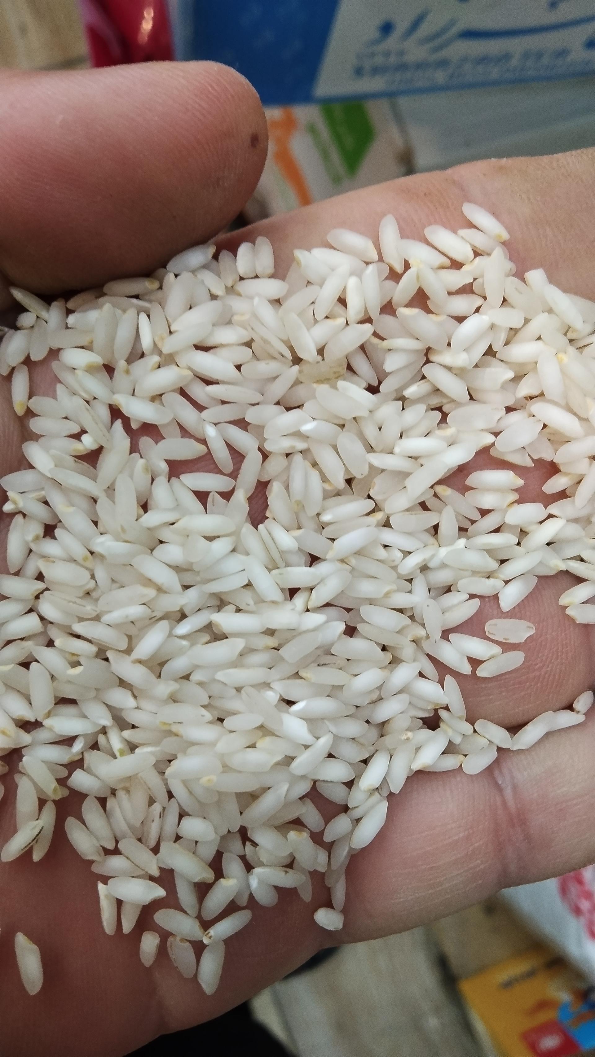 عکس فروشگاه برنج کارون