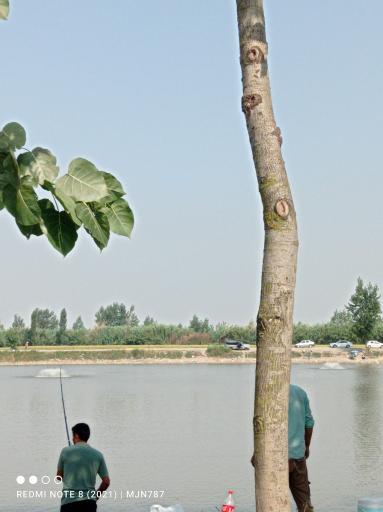 عکس باشگاه ماهیگیری پدیده شمال