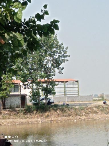 عکس باشگاه ماهیگیری پدیده شمال