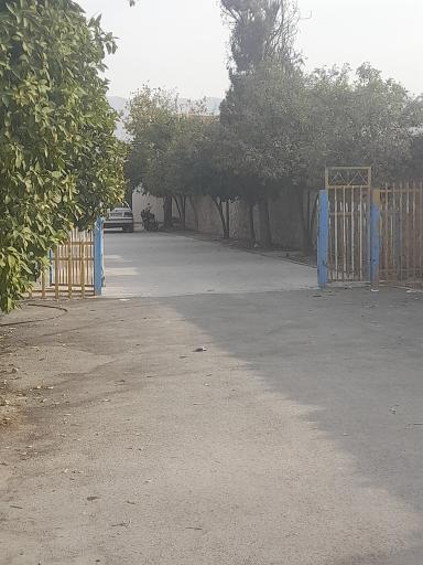 عکس اداره ورزش و جوانان کازرون 