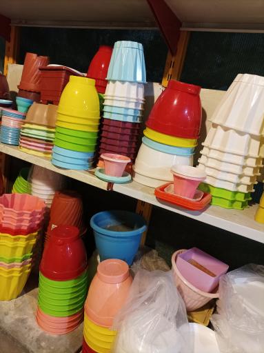 عکس گلخانه چهارفصل طوبی