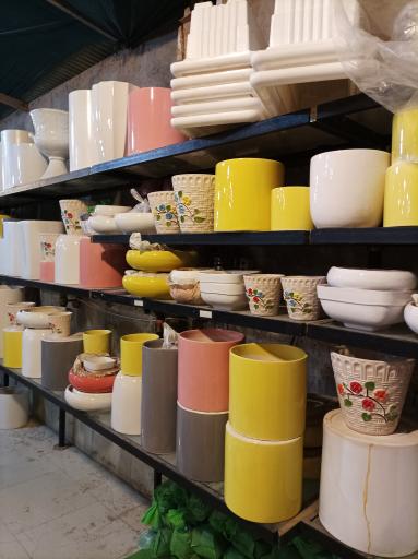 عکس گلخانه چهارفصل طوبی