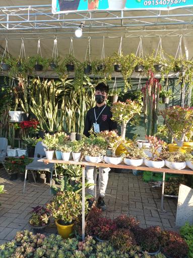 عکس گلخانه چهارفصل طوبی