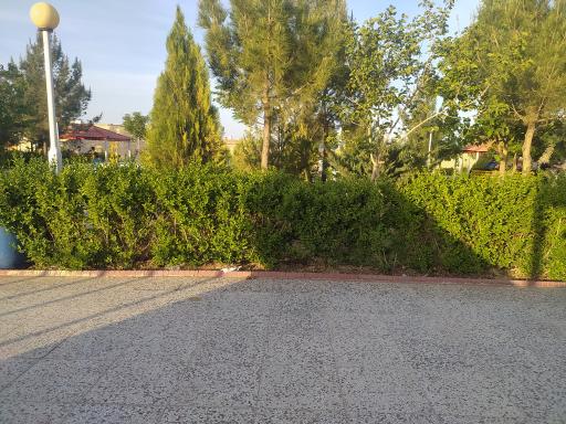 عکس بوستان 