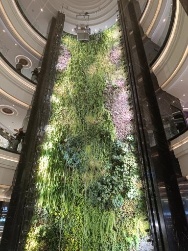 عکس هدیش مال