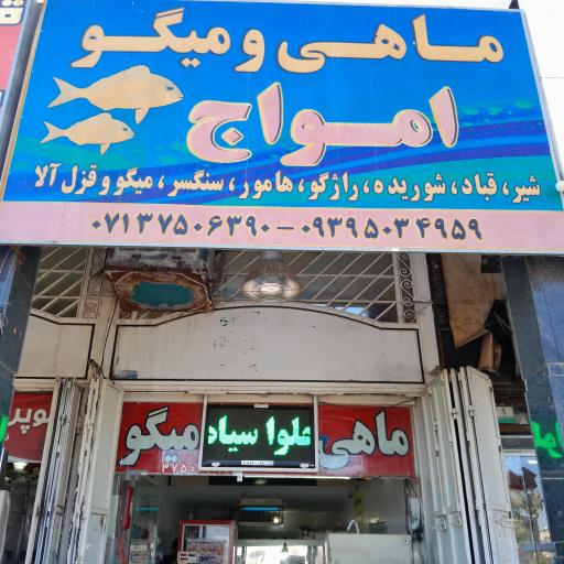 عکس ماهی فروشی امواج