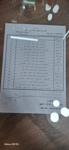 عکس ساندویچی سیزسون